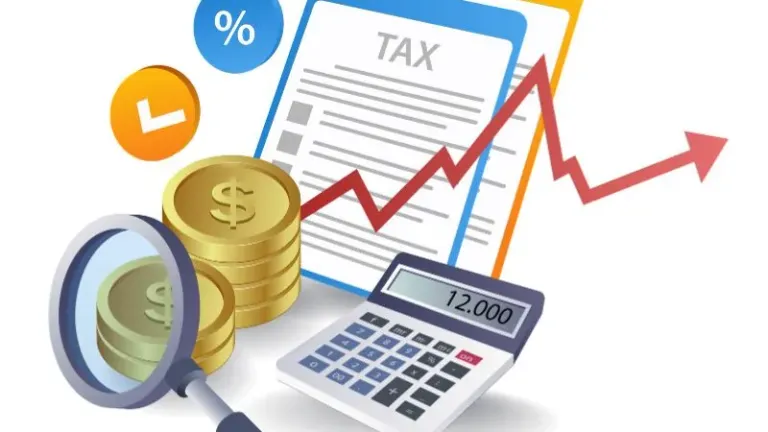 What Services Do Tax Consultants Provide In Bangladesh